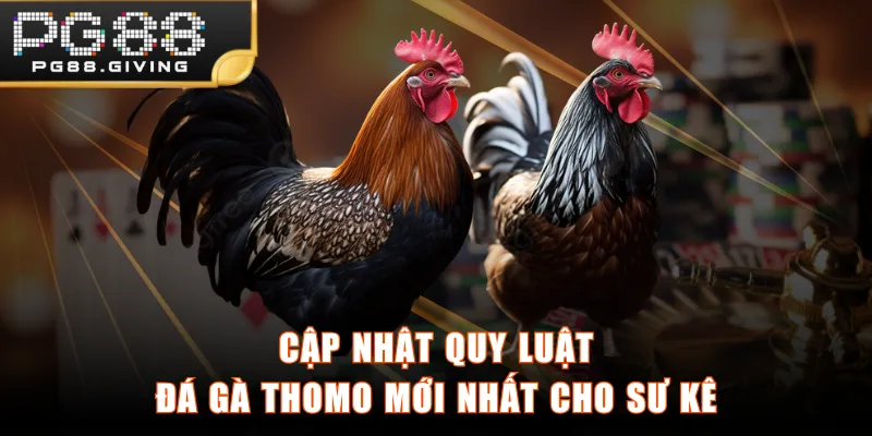 Cập nhật quy luật đá gà Thomo mới nhất cho sư kê