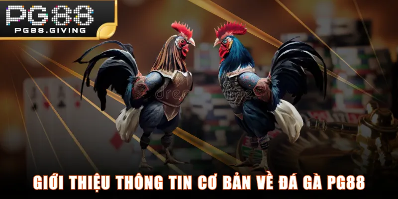 Giới thiệu thông tin cơ bản về Đá Gà PG88