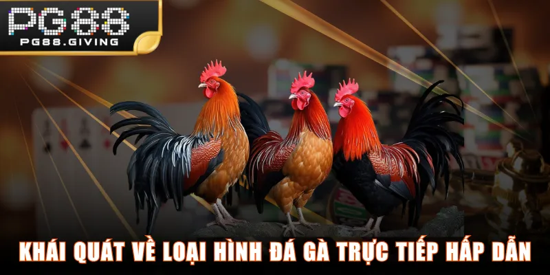 Khái quát về loại hình đá gà trực tiếp hấp dẫn