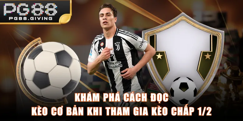 Khám phá cách đọc kèo cơ bản khi tham gia kèo chấp 1/2