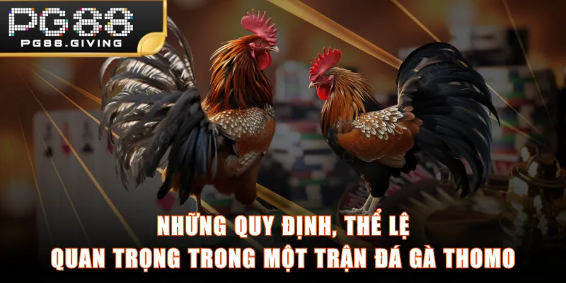 Những quy định, thể lệ quan trọng trong một trận đá gà Thomo