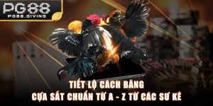 Tiết Lộ Cách Băng Cựa Sắt Chuẩn Từ A - Z Từ Các Sư Kê
