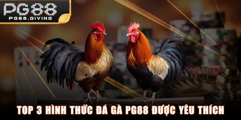 Top 3 hình thức Đá Gà PG88 được yêu thích