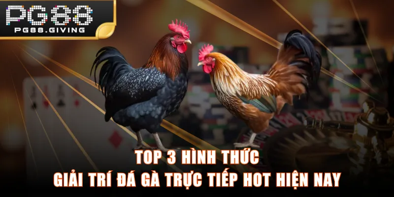 Top 3 hình thức giải trí đá gà trực tiếp hot hiện nay